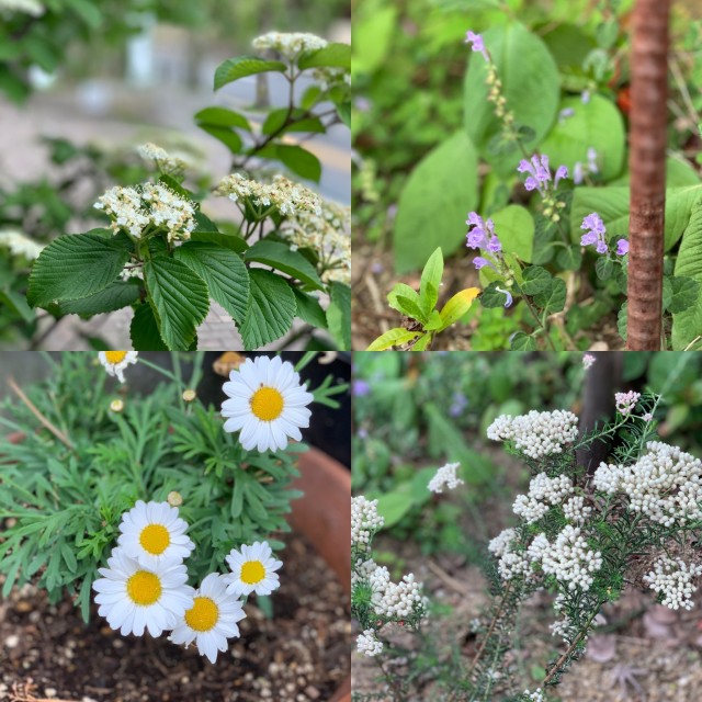 3D8C3EC5-926C-4270-832A-A826F8187122