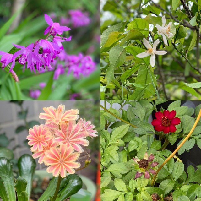 612A3A86-3A31-458F-98CF-BFE2BBDAA2C1